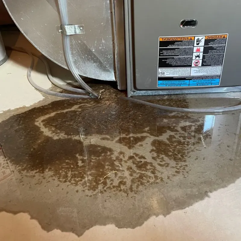 Pipe Burst and Leak Restoration in Hanover, MA